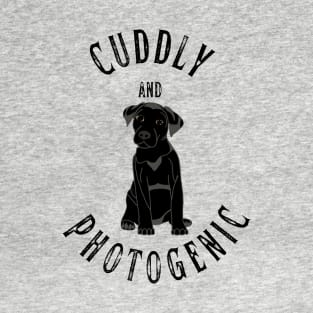 Stylish and Photogenic T-Shirt